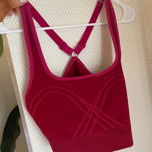 Fabletics Sports Bra
